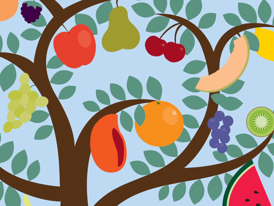 This graphic is a close-up of an infographic that shows a brown tree with green leaves with all different kinds of fruit growing off of it: blackberry, apple, pear, grapes, cherries, lemon, cantaloupe, kiwi, watermelon, orange, and mango. This images has a light blue background.