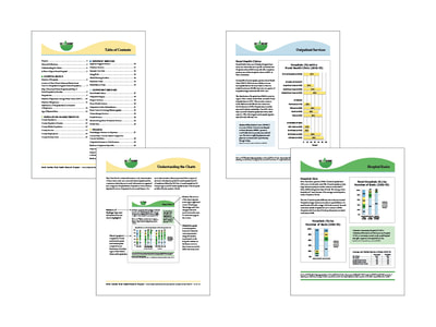 Four pages of a chart pack for the North Carolina Rural Health Research Project show yellow, light green, dark green, and light blue color schemes for text, charts, and graphs.
