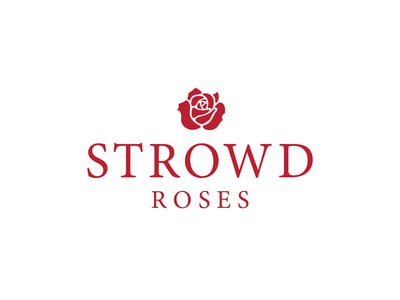 This logo shows a true red rose icon centered above Strowd Roses in all capitals, in a serif font, also in true red.. 